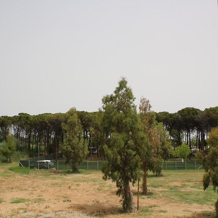 Levante Marina di Schiavonea Exteriér fotografie