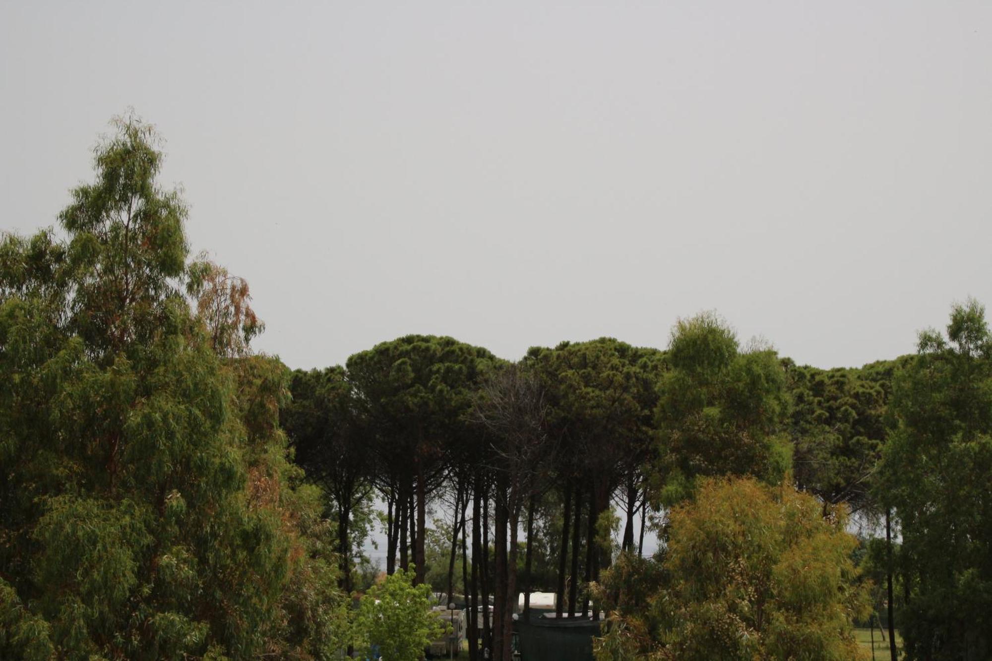 Levante Marina di Schiavonea Exteriér fotografie